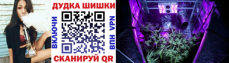 Где купить Сальск Альфа ПВП ГАШИШ